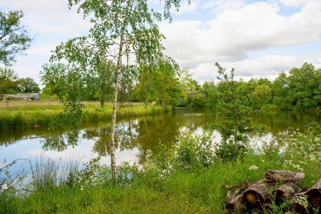 Ferienhaus L'evasion En Pierre Piscine Et Etang Prive *