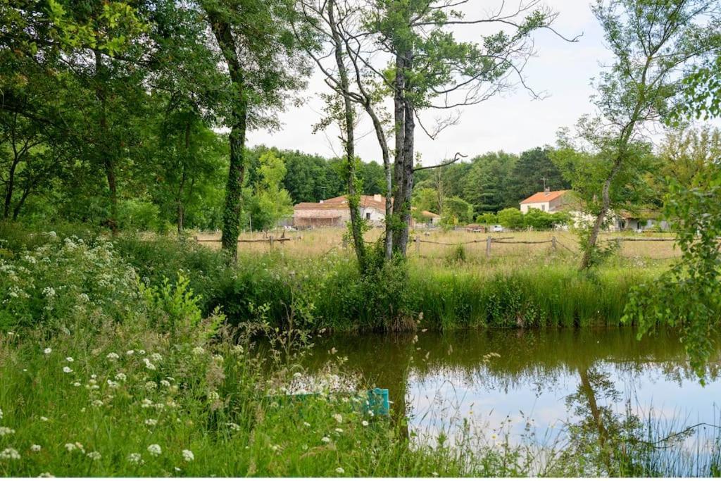 L'evasion En Pierre Piscine Et Etang Prive